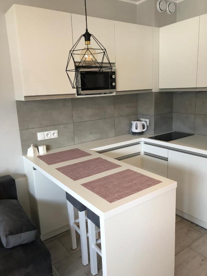 דארלובקו Apartament Pudrowy מראה חיצוני תמונה