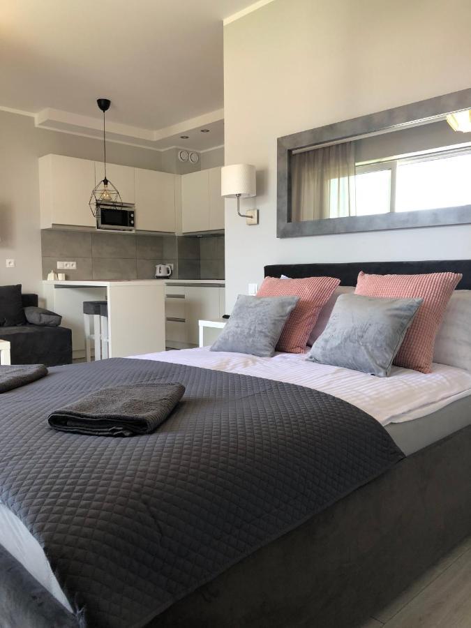 דארלובקו Apartament Pudrowy מראה חיצוני תמונה