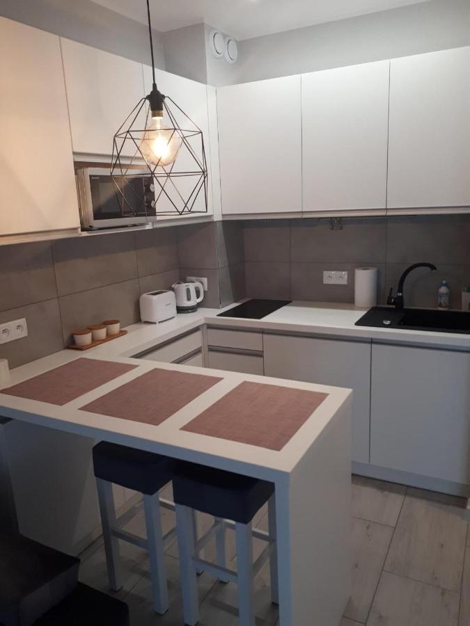 דארלובקו Apartament Pudrowy מראה חיצוני תמונה