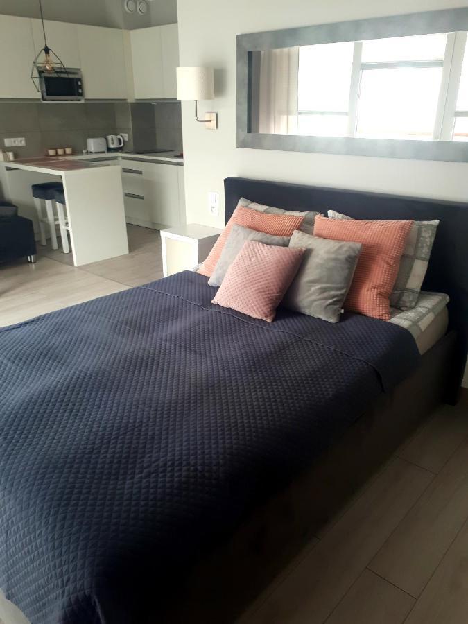 דארלובקו Apartament Pudrowy מראה חיצוני תמונה