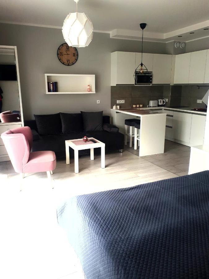 דארלובקו Apartament Pudrowy מראה חיצוני תמונה